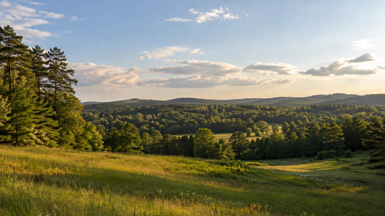 Anderson County land and natural surroundings