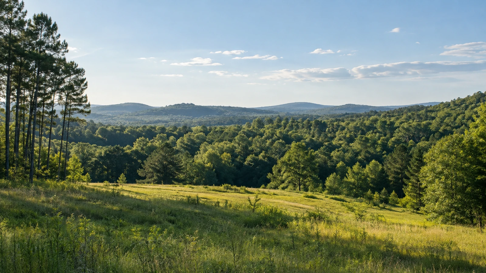 Anderson land and natural surroundings