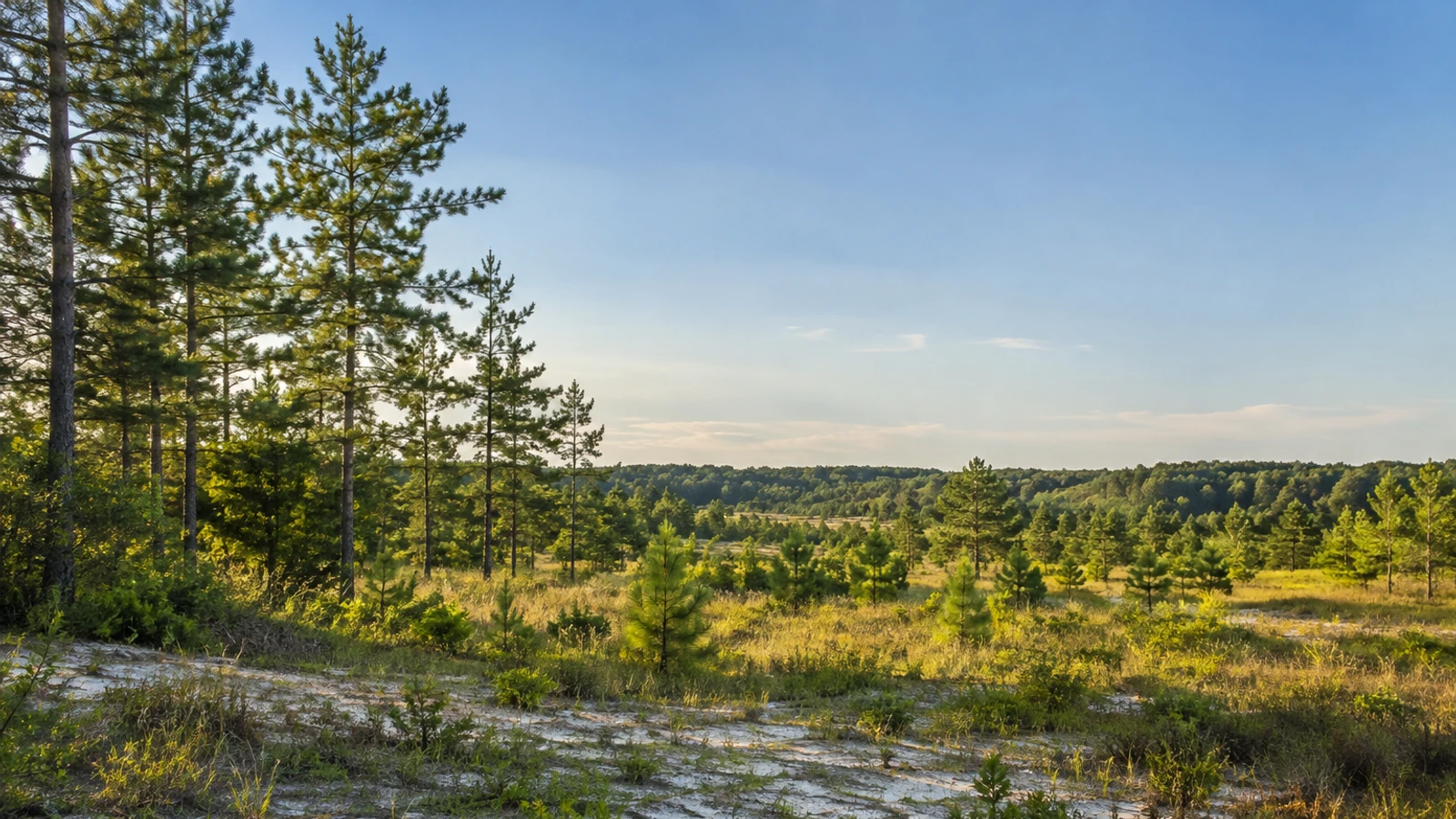 Florence land and natural surroundings