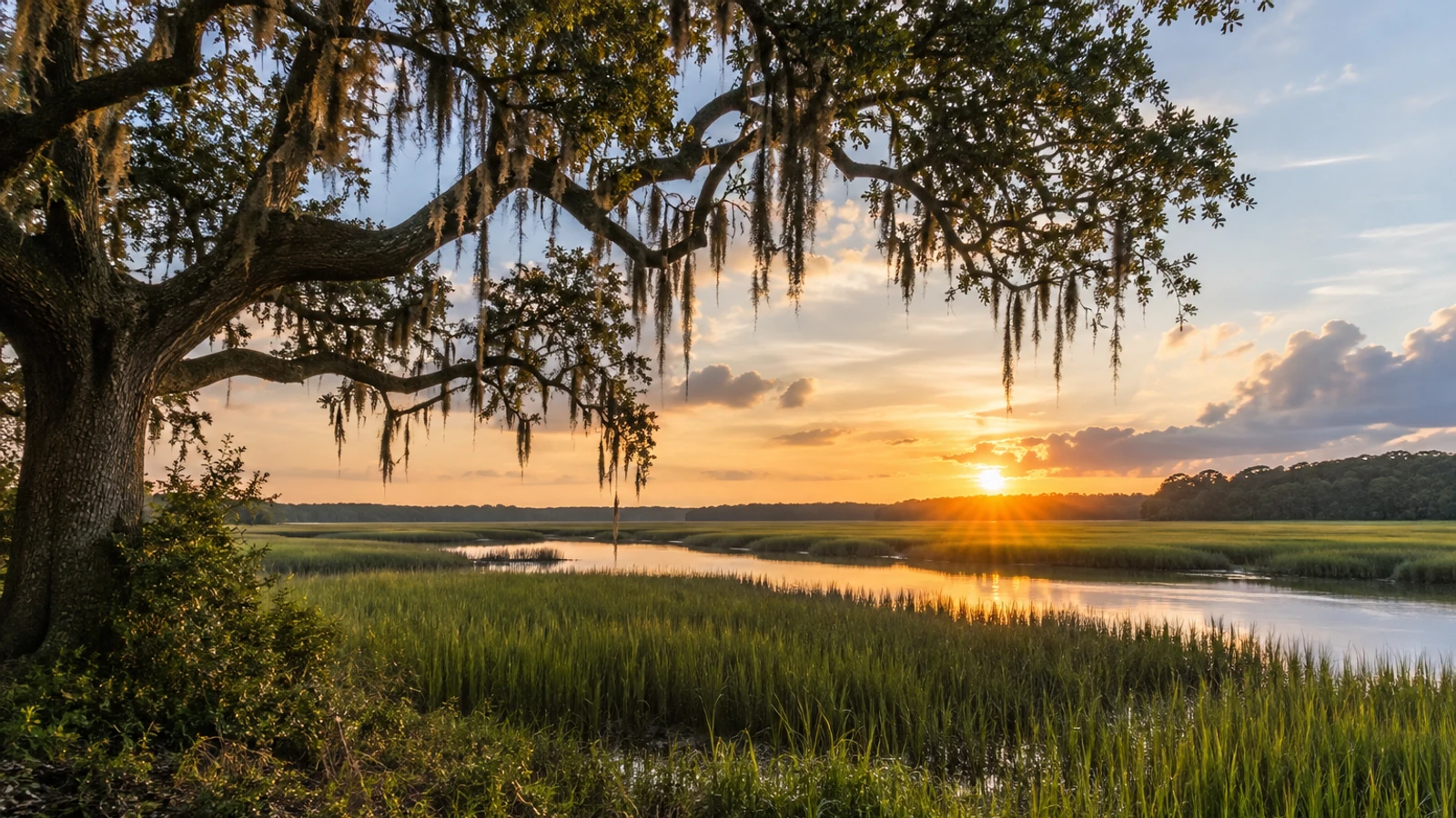 Georgetown County land and natural surroundings