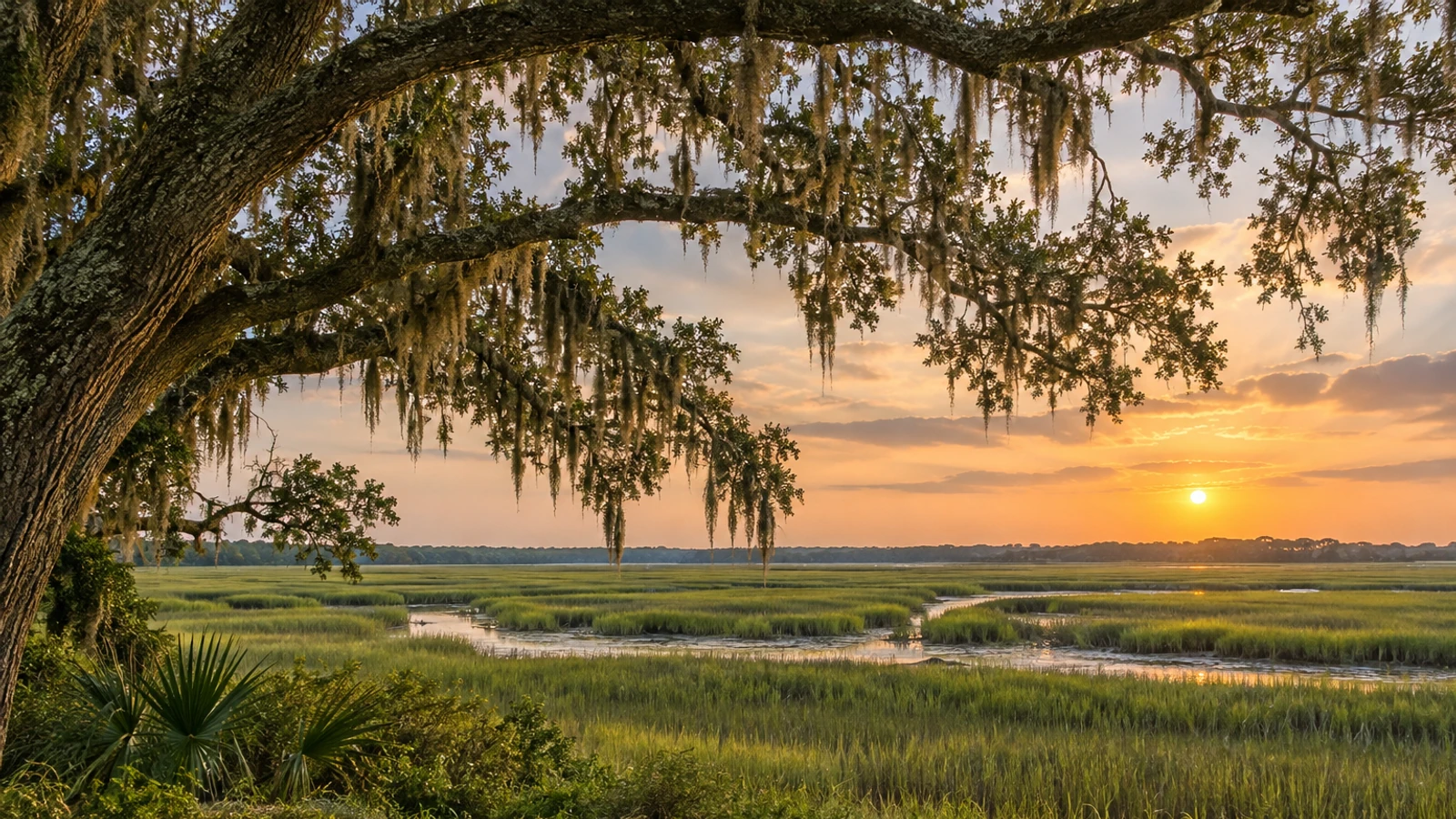 Georgetown land and natural surroundings