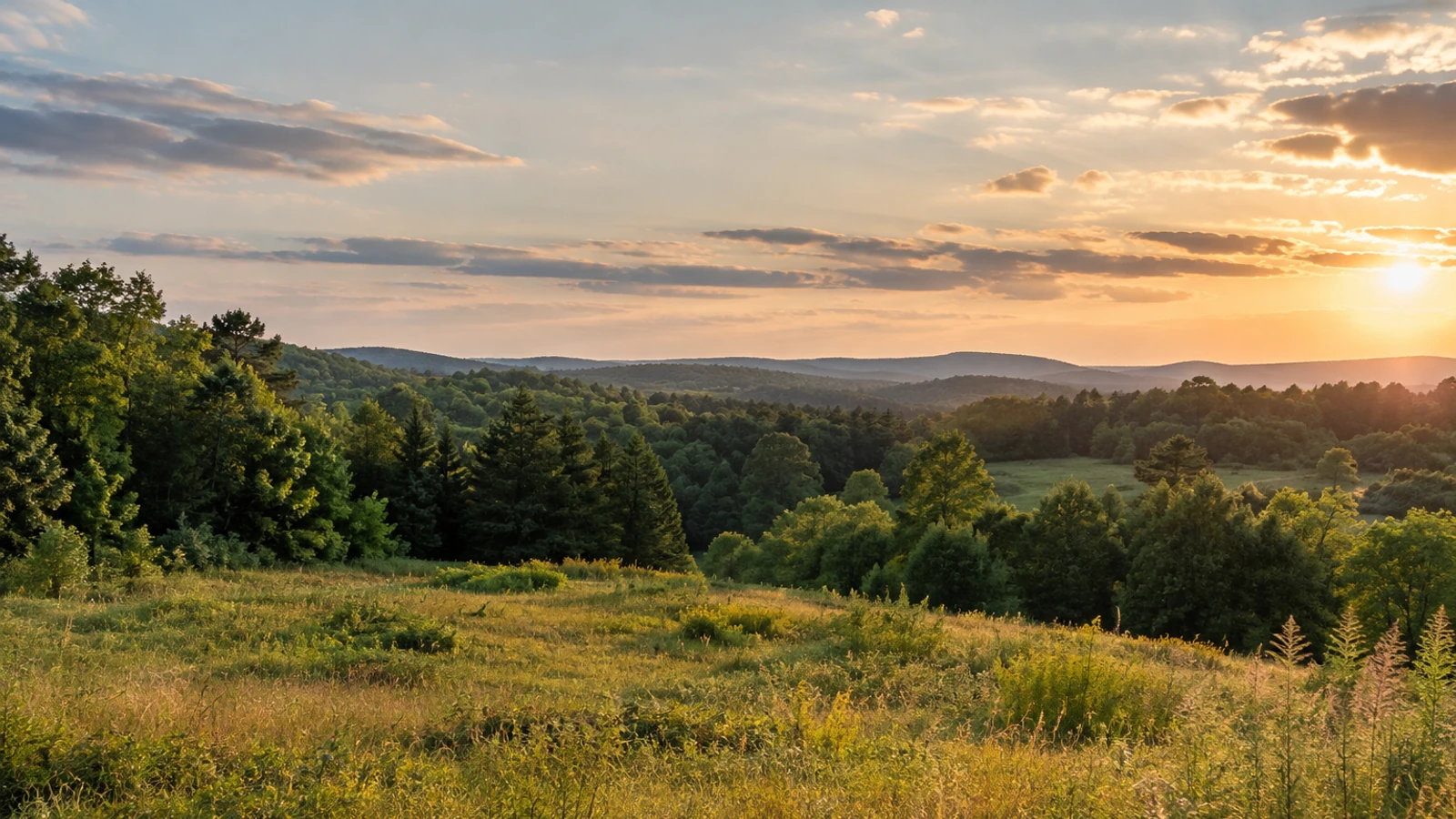 Lancaster County land and natural surroundings