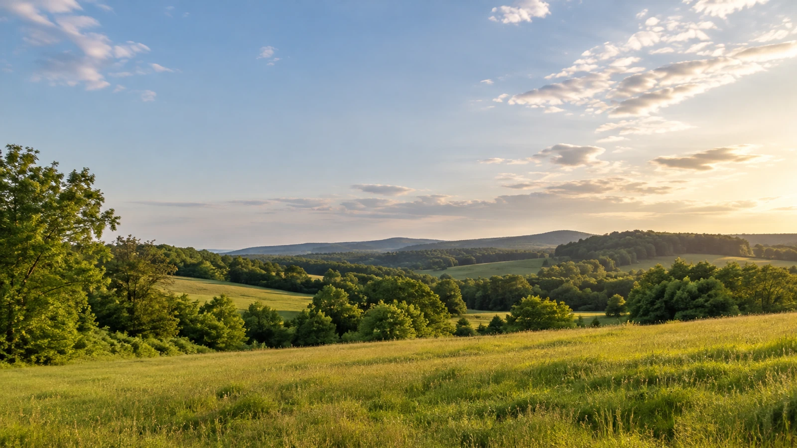 Pickens land and natural surroundings