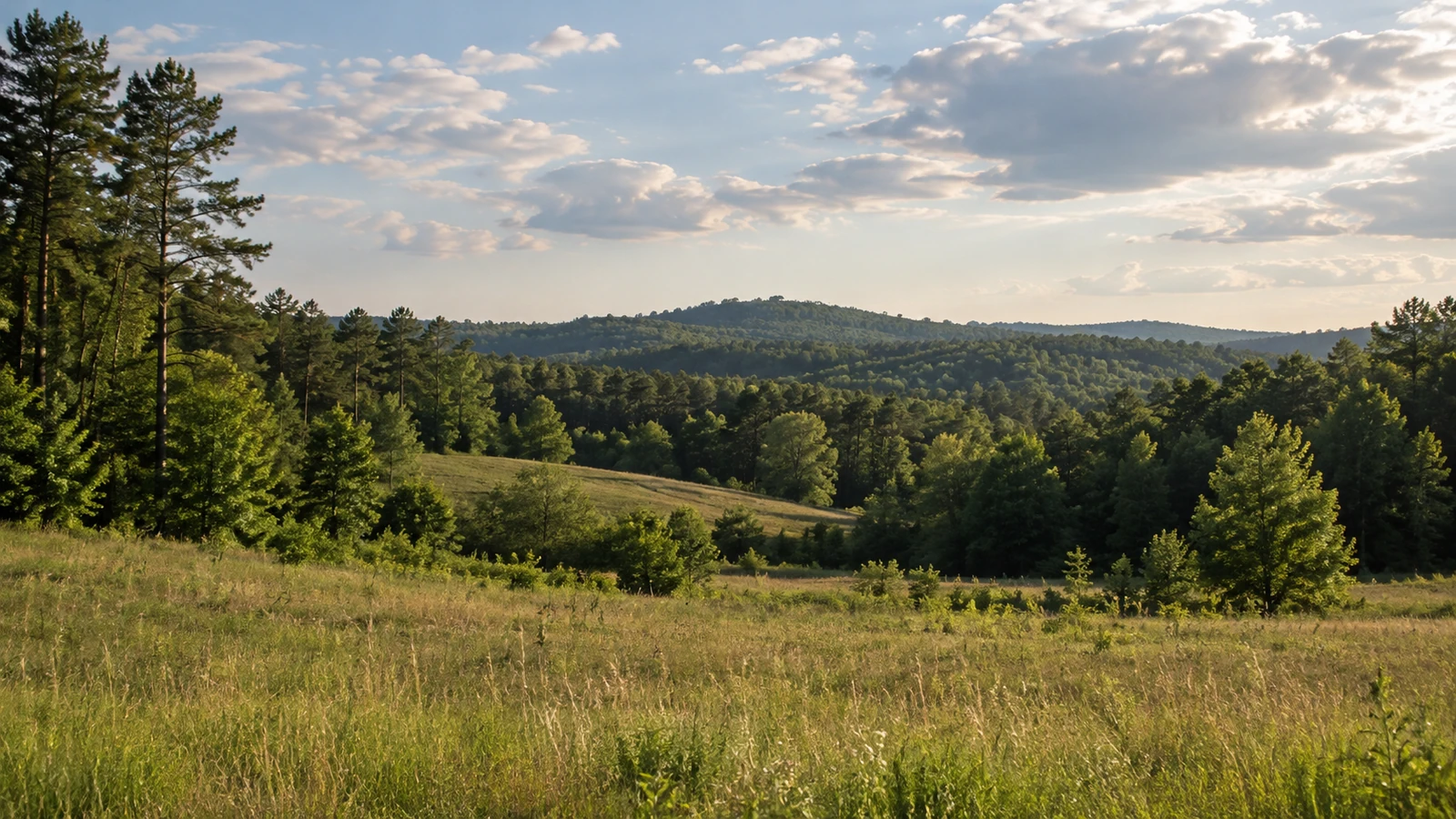 Anderson County land