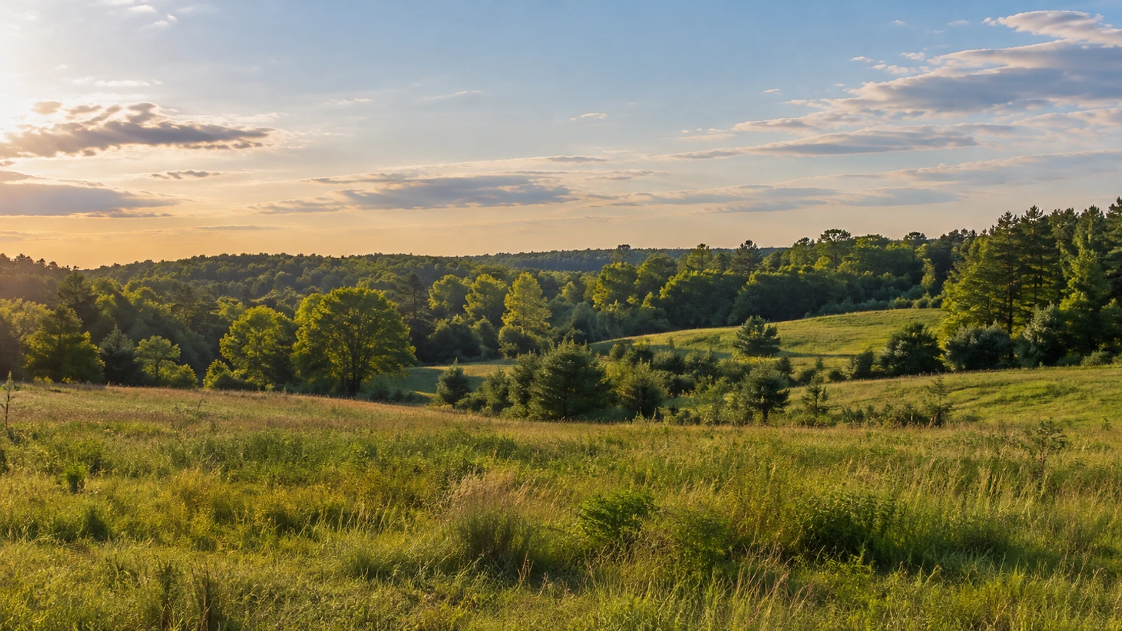 Greenwood land