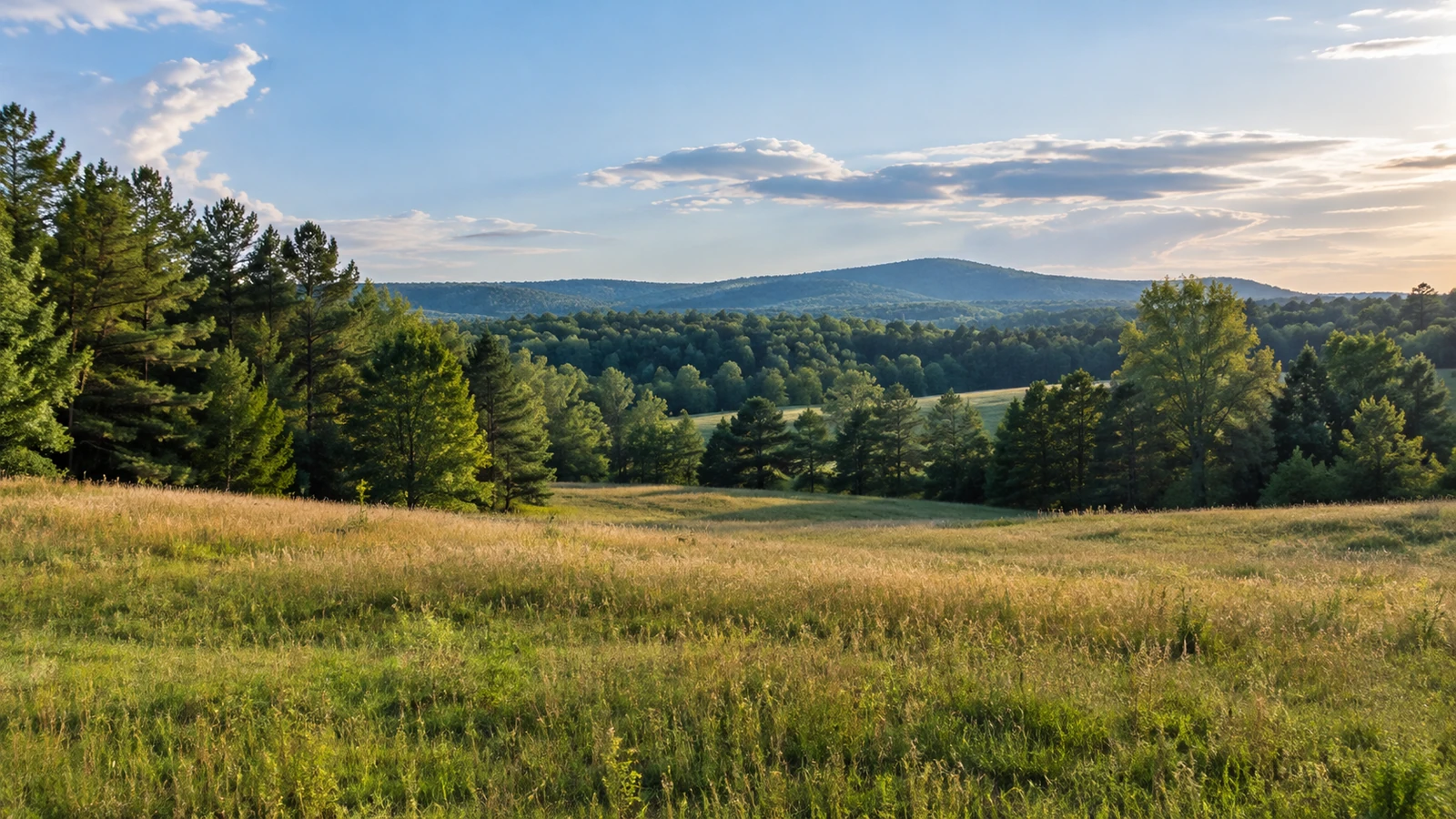 Lancaster County land