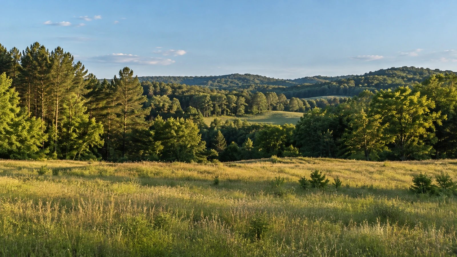 Lancaster land