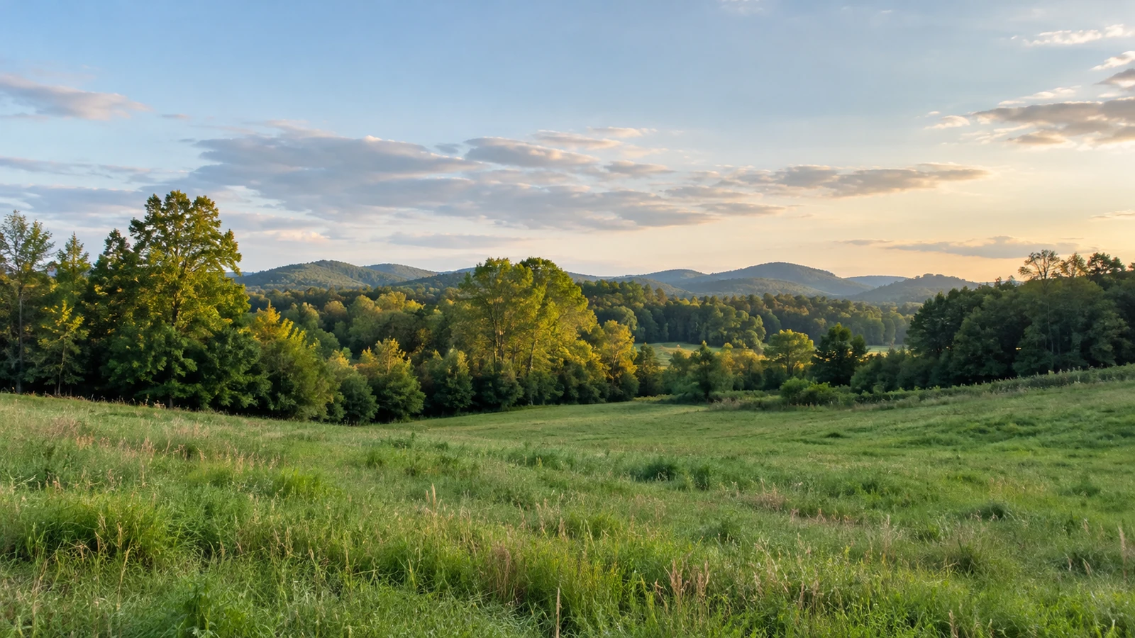 Oconee County land
