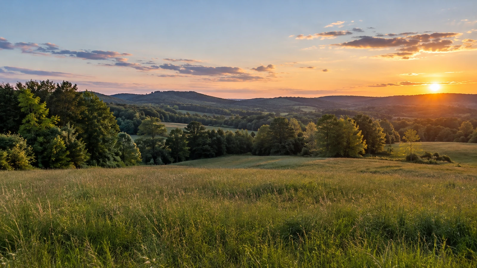 Pickens land
