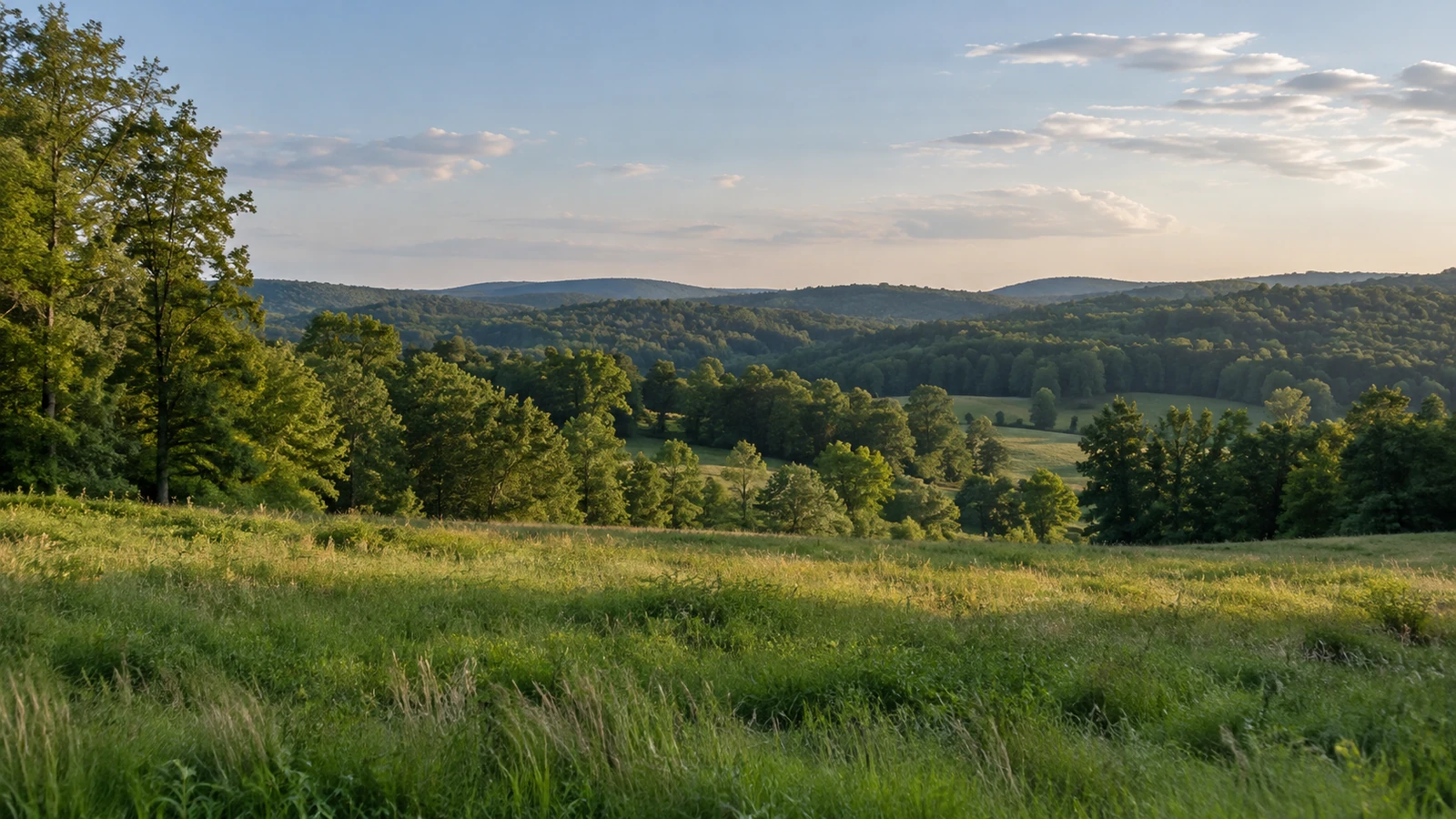 Seneca land