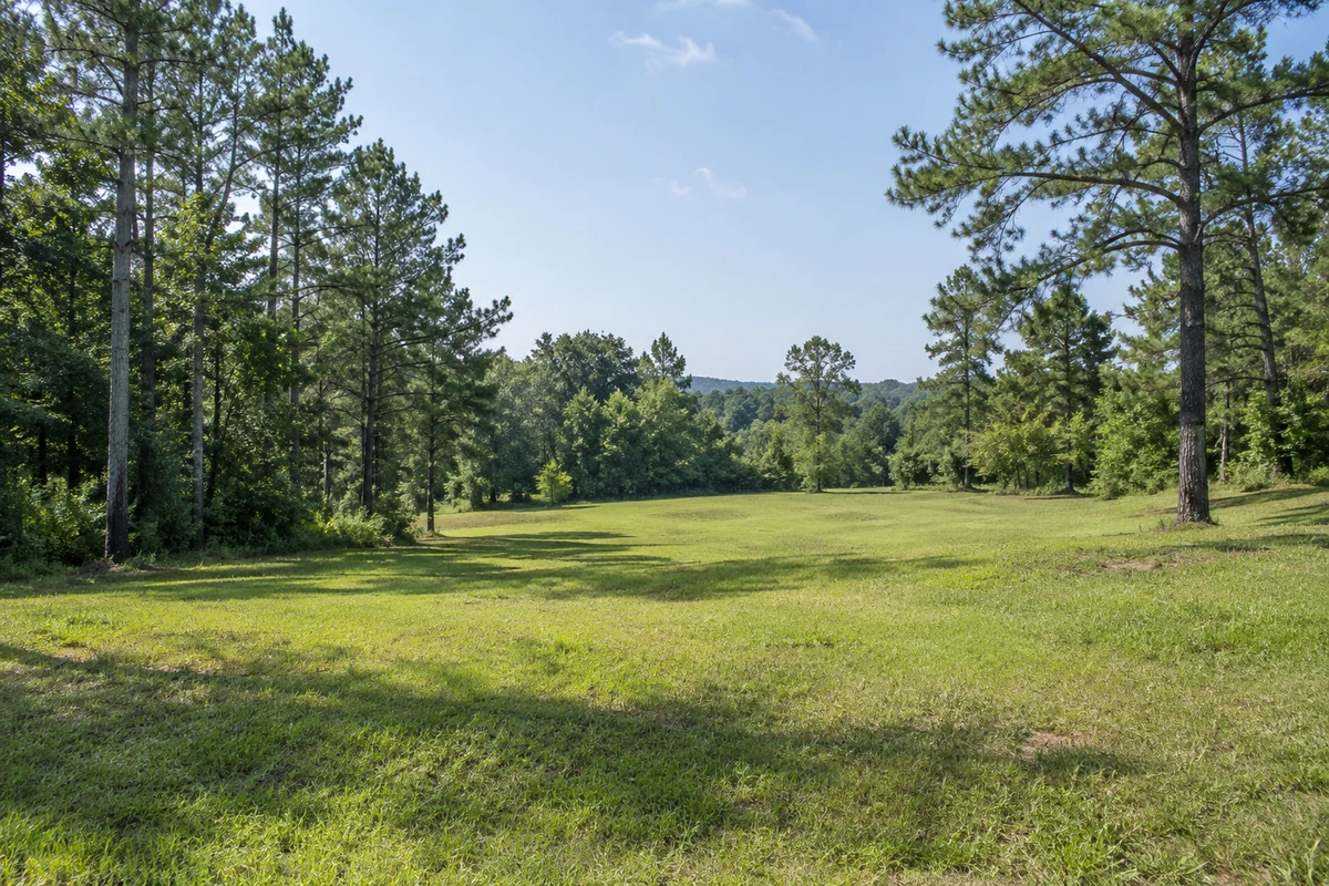Vacant Lots in South Carolina